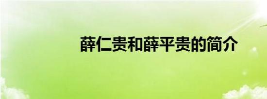 薛仁贵和薛平贵的简介