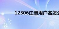 12306注册用户名怎么填写例如