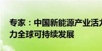 专家：中国新能源产业活力涌动 优质产能助力全球可持续发展