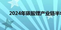 2024年碳酸锂产业链半年度会议召开