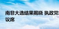 南非大选结果揭晓 执政党非国大未获超半数议席