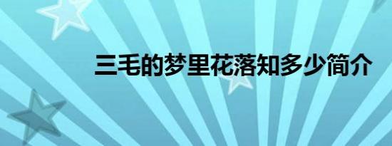 三毛的梦里花落知多少简介