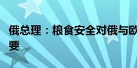 俄总理：粮食安全对俄与欧亚经济联盟至关重要