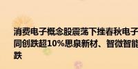 消费电子概念股震荡下挫春秋电子触及跌停英力股份、光大同创跌超10%思泉新材、智微智能、飞荣达、中京电子等跟跌