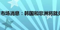 市场消息：韩国和非洲将就关键矿产展开对话