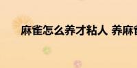 麻雀怎么养才粘人 养麻雀粘人的方法