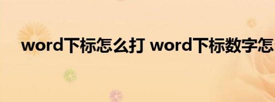 word下标怎么打 word下标数字怎么打