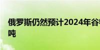 俄罗斯仍然预计2024年谷物收获量为1.32亿吨