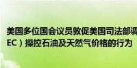 美国多位国会议员敦促美国司法部调查石油输出国组织（OPEC）操控石油及天然气价格的行为