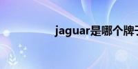 jaguar是哪个牌子的车