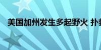 美国加州发生多起野火 扑救行动仍在持续