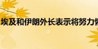 埃及和伊朗外长表示将努力恢复两国正常关系