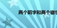 两个蹈字和两个辙字的成语