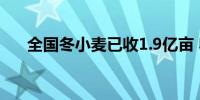 全国冬小麦已收1.9亿亩 收获进度过半