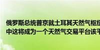 俄罗斯总统普京就土耳其天然气枢纽项目表示我们仍在考虑中这将成为一个天然气交易平台该平台覆盖欧洲