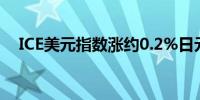 ICE美元指数涨约0.2%日元跌回156下方