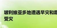 玻利维亚多地遭遇旱灾和霜冻 超4.6万户家庭受灾