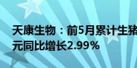 天康生物：前5月累计生猪销售收入18.25亿元同比增长2.99%