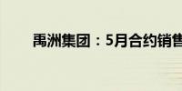 禹洲集团：5月合约销售额达7.03亿