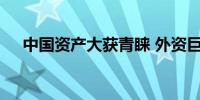 中国资产大获青睐 外资巨头多渠道增持