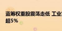 蓝筹权重股震荡走低 工业富联、宁德时代跌超5%