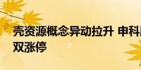 壳资源概念异动拉升 申科股份、中天服务双双涨停