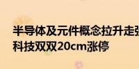 半导体及元件概念拉升走强 台基股份、安路科技双双20cm涨停