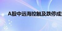 A股中远海控触及跌停成交额超46亿元