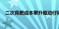 二次育肥成本攀升驱动仔猪价格再创新高