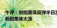 午评：创指震荡反弹半日涨0.37% 科创板次新股集体大涨