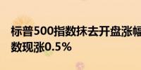 标普500指数抹去开盘涨幅；纳斯达克100指数现涨0.5%