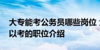 大专能考公务员哪些岗位 大专生考公务员可以考的职位介绍