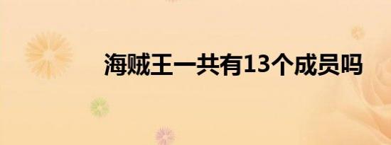 海贼王一共有13个成员吗