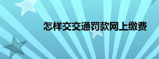 怎样交交通罚款网上缴费