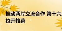 推动两岸交流合作 第十六届海峡论坛在福建拉开帷幕