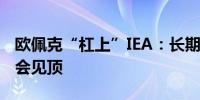 欧佩克“杠上”IEA：长期预测中石油需求不会见顶