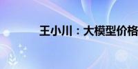 王小川：大模型价格战是好事