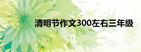 清明节作文300左右三年级