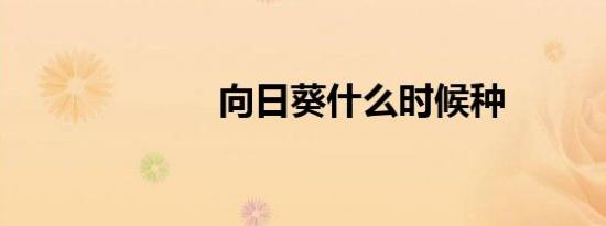 向日葵什么时候种