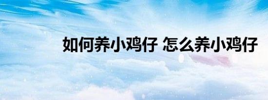 如何养小鸡仔 怎么养小鸡仔