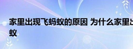 家里出现飞蚂蚁的原因 为什么家里出现飞蚂蚁