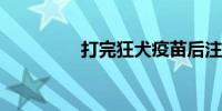 打完狂犬疫苗后注意事项