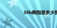 36b胸围是多少厘米的