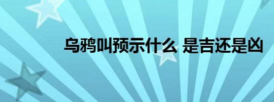 乌鸦叫预示什么 是吉还是凶