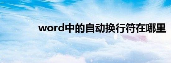 word中的自动换行符在哪里