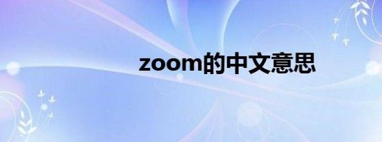 zoom的中文意思