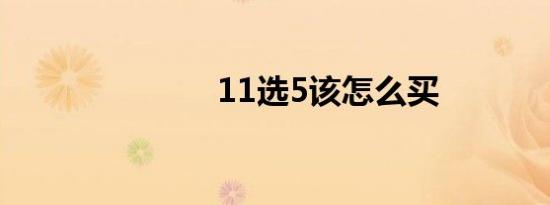 11选5该怎么买