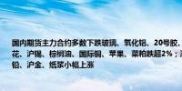 国内期货主力合约多数下跌玻璃、氧化铝、20号胶、丁二烯橡胶跌超3%鸡蛋、橡胶、棉花、沪锡、棕榈油、国际铜、苹果、菜粕跌超2%；涨幅方面集运指数涨超2%尿素、沪铅、沪金、纸浆小幅上涨