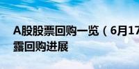 A股股票回购一览（6月17日）：6家公司披露回购进展