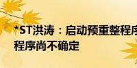 *ST洪涛：启动预重整程序 是否能进入重整程序尚不确定